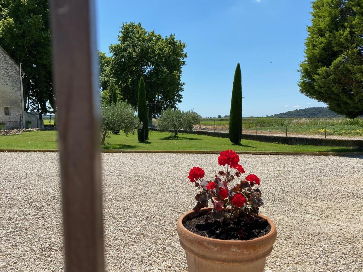 Le Domaine De Laforest Fontvieille Εξωτερικό φωτογραφία