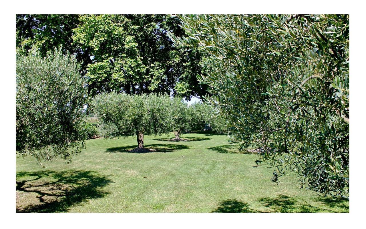 Le Domaine De Laforest Fontvieille Εξωτερικό φωτογραφία