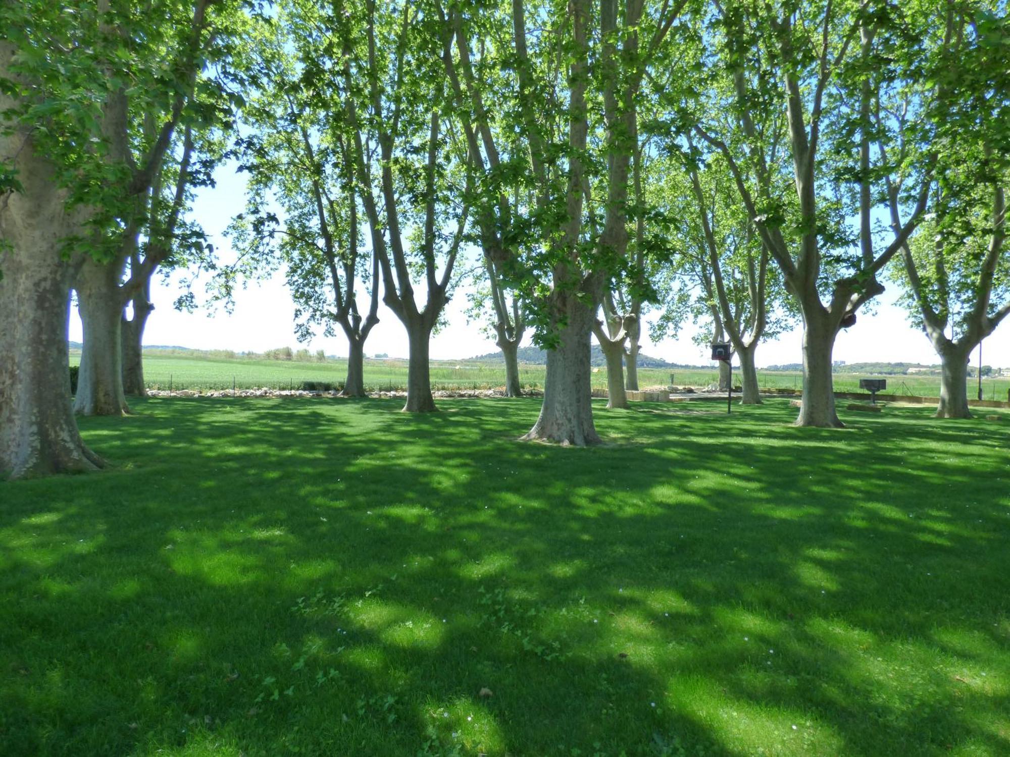 Le Domaine De Laforest Fontvieille Εξωτερικό φωτογραφία
