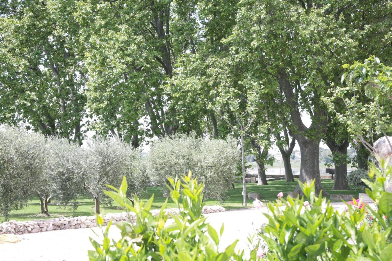 Le Domaine De Laforest Fontvieille Εξωτερικό φωτογραφία